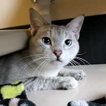 Thumbnail photo of Misty #1