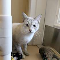 Thumbnail photo of Misty #3