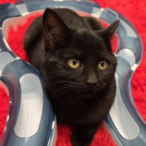 Thumbnail photo of Bree #1