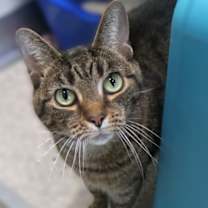 Thumbnail photo of Buster #1