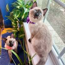 Thumbnail photo of Ashley Montes #2