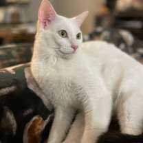 Thumbnail photo of Jerry #1