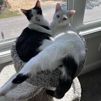 Thumbnail photo of Jerry #4