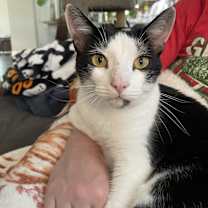 Thumbnail photo of George #1