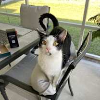 Thumbnail photo of George #2