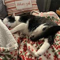 Thumbnail photo of George #3