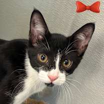 Thumbnail photo of Tucker #1