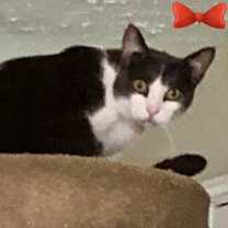 Thumbnail photo of Jasper #1