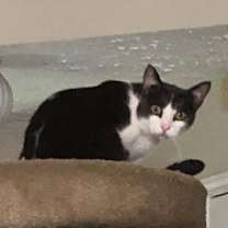 Thumbnail photo of Jasper #2