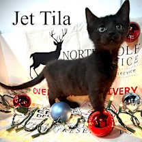 Thumbnail photo of Jet Tila #1