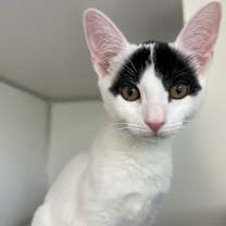 Thumbnail photo of Honeymaren #1