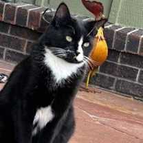 Thumbnail photo of Rome #3