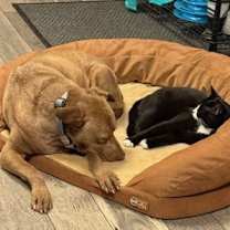 Thumbnail photo of Rome #4