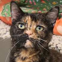 Thumbnail photo of Rory #1