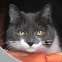 Thumbnail photo of Lux #1