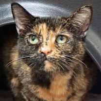 Thumbnail photo of Rory #2