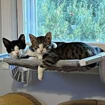 Thumbnail photo of Boots #2