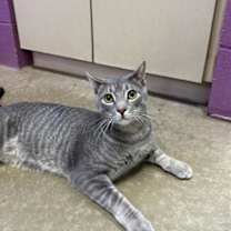 Thumbnail photo of Arthur #1