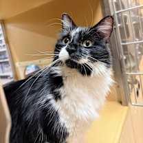 Thumbnail photo of Dee #1