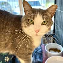 Thumbnail photo of Tommi #2