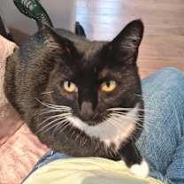 Thumbnail photo of Lola #3