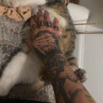 Thumbnail photo of Miss Biscuits #3