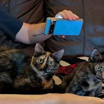 Thumbnail photo of Lacey & Paisley 6.15.25 #3