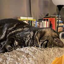 Thumbnail photo of HeWho #4