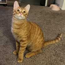 Thumbnail photo of Jaq #1