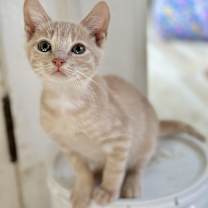 Thumbnail photo of Farmer #1