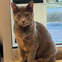 Thumbnail photo of Gio #4