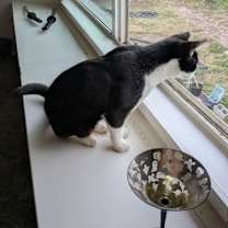 Thumbnail photo of Charly #1