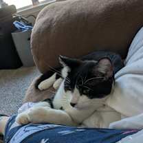 Thumbnail photo of Charly #3