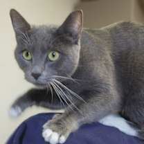 Thumbnail photo of Lily #2