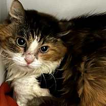 Thumbnail photo of Danita #2