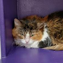 Thumbnail photo of Danita #3