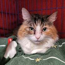 Thumbnail photo of Danita #4