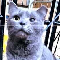 Thumbnail photo of Carly #3