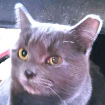 Thumbnail photo of Carly #2