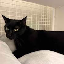 Thumbnail photo of Catalina #1