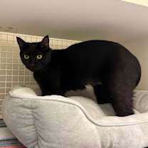 Thumbnail photo of Catalina #2