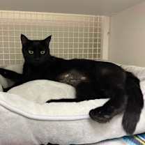 Thumbnail photo of Catalina #3