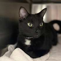 Thumbnail photo of Diego #3