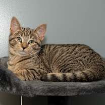 Thumbnail photo of Winter #3