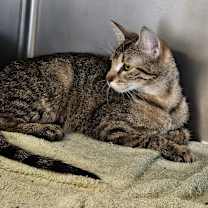 Thumbnail photo of Jane #2