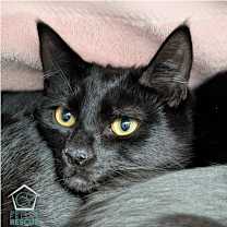 Thumbnail photo of Jack (and Diane) #1