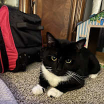 Thumbnail photo of Earl #1