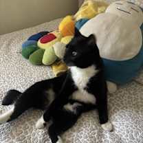 Thumbnail photo of Earl #3