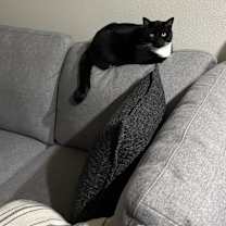 Thumbnail photo of Earl #4