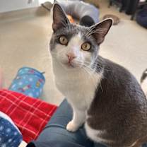 Thumbnail photo of Pumpkin #2